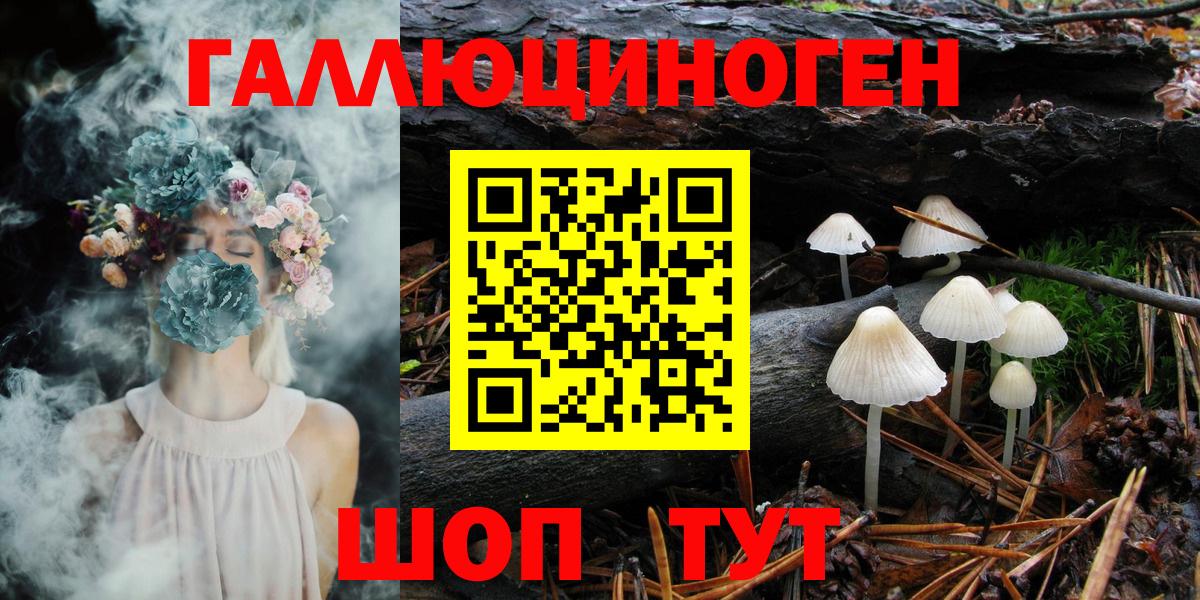 Кропоткин  Псилоцибиновые грибы мицелий  Вход с VPN 
